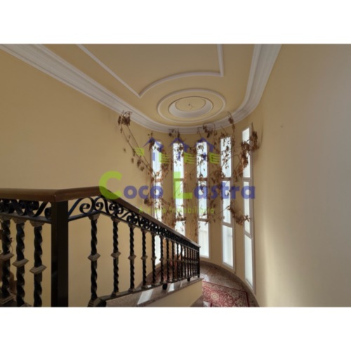 Escalera 